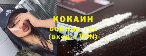 ешки Михайлов