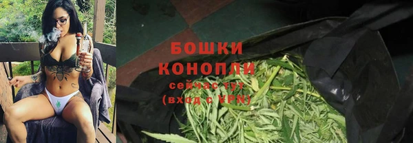 ешки Михайлов