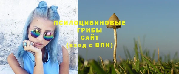 PSILOCYBIN Надым
