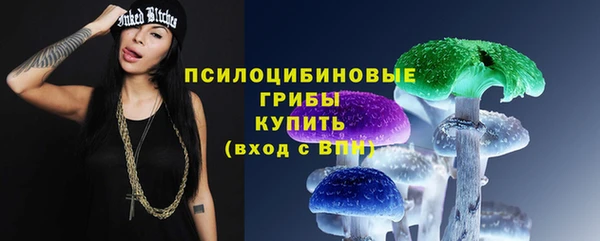 ешки Михайловск