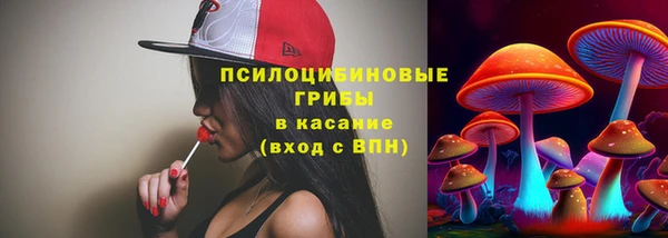 ешки Михайлов