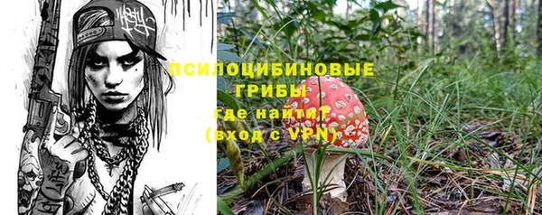 ешки Михайловск